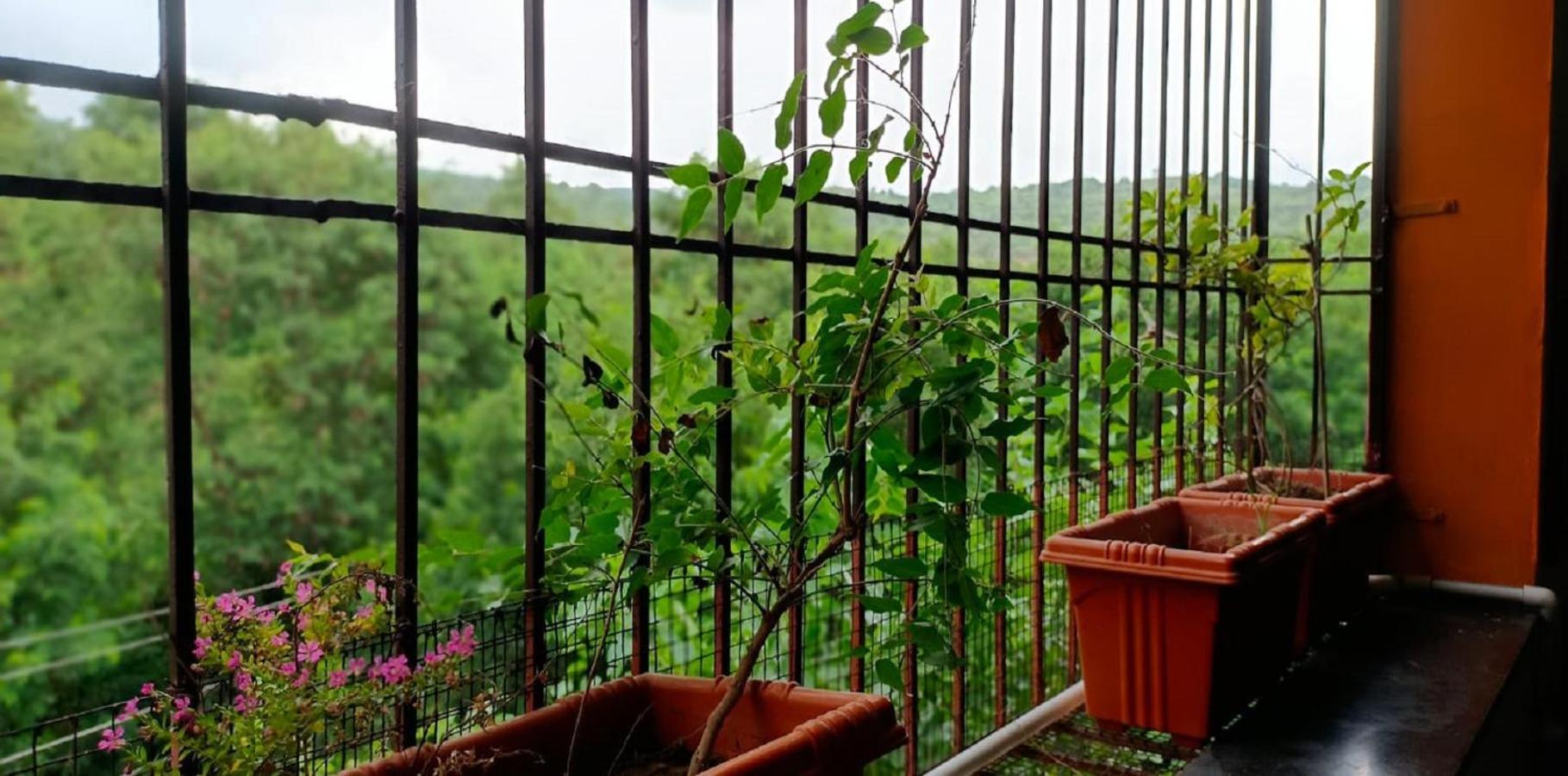 Abhayanand Agro Tourism Villa Ellora Buitenkant foto